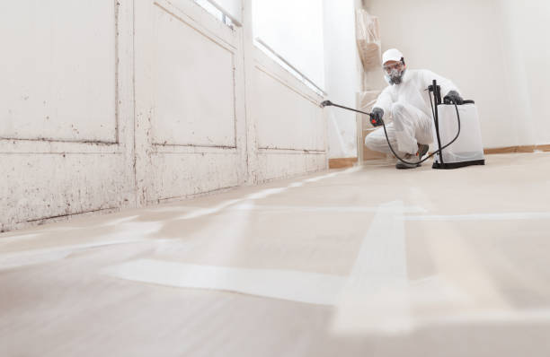 24/7 Emergency Mold Removal experts in Woodbridge, NJ